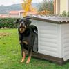 Imagen de Casa Cucha Perro Grande Mascota Térmica Impermeable